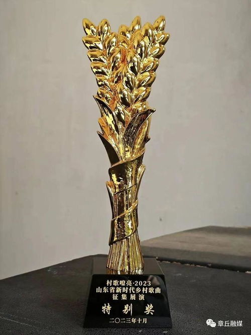 章丘文藝精品創作再結碩果 幸福笑臉 綻放全省新時代鄉村歌曲頒獎晚會